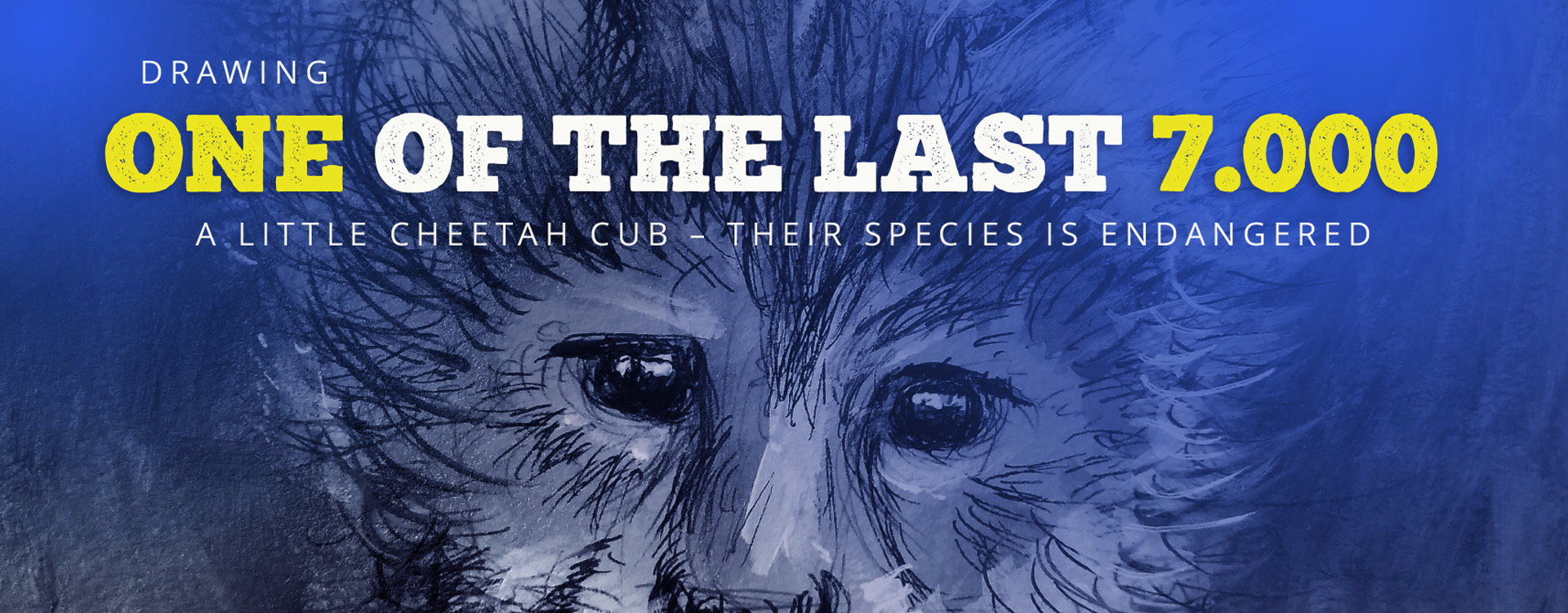 art drawing painting illustration by Stefa Schultze: Cheetah cub portrait detail with endangered species status - wildlife conservation