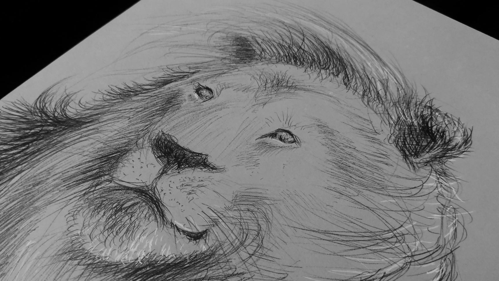 art drawing painting illustration by Stefan Schultze: Lionking portrait.