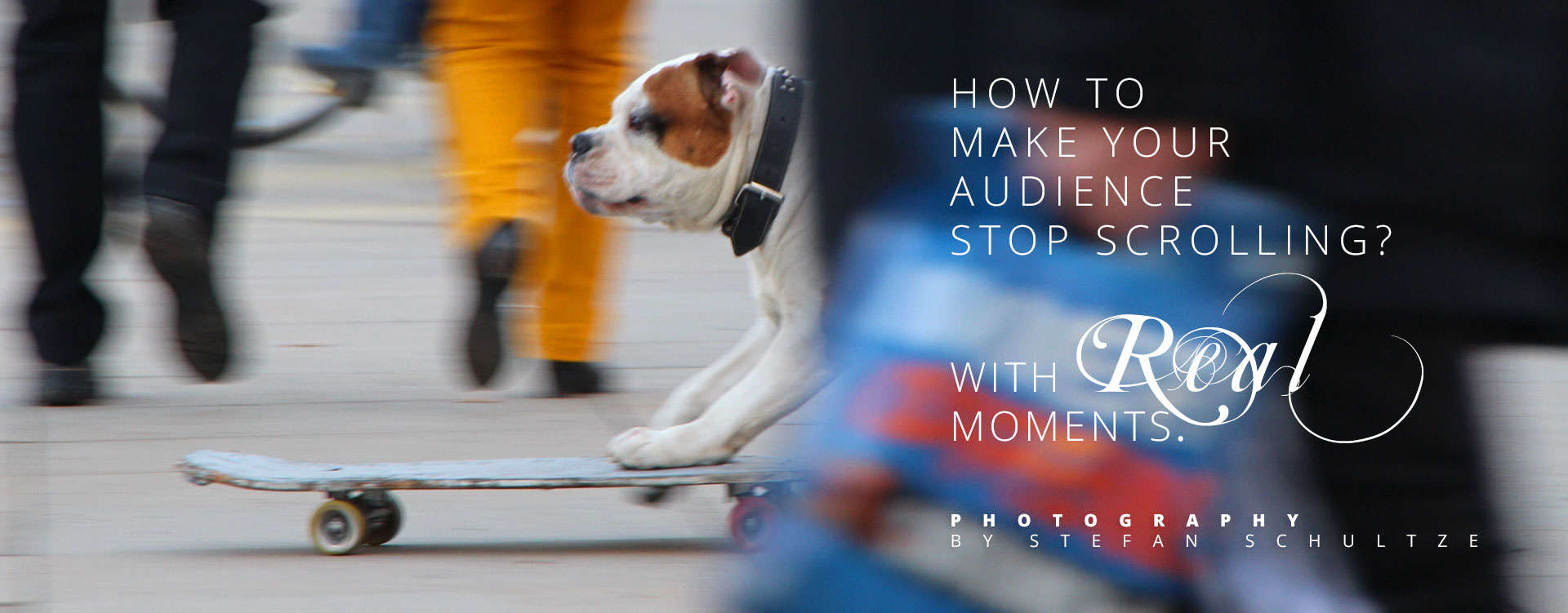 How to make your audience stop scrolling? Quality content. Real moments. Real photography & fineart. This is one of them - an encounter with the skateboarding bulldog, the fourpawed sk8terboy making anyone smile. And yes, he managed to cruise the skateboard on all four paws :) doglovers, funny dogs, skaterboy, sk8terboy, skate, sportsphotography, sports, berlin sports
