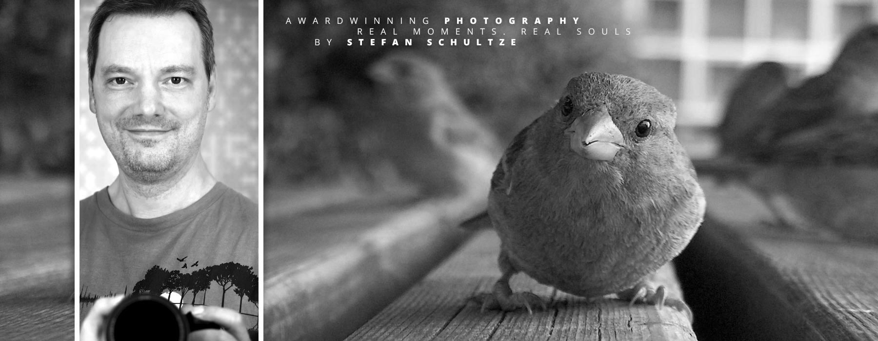 FINEART PHOTOGRAPHY Stefan Schultze: a little sparrow or in german Spatz as we say confidently chirping for one of my snacks - I had the cam with me and wasn´t sure if the little feathered fella wanted only my snack or talk to its buddy in the mirror reflection of the lens the closer it got. Finally after I was walking away a little crowd of 10-15 birds followed me in the same manner on the way walking and jumping, loudly chirping until they finally flew away :) 